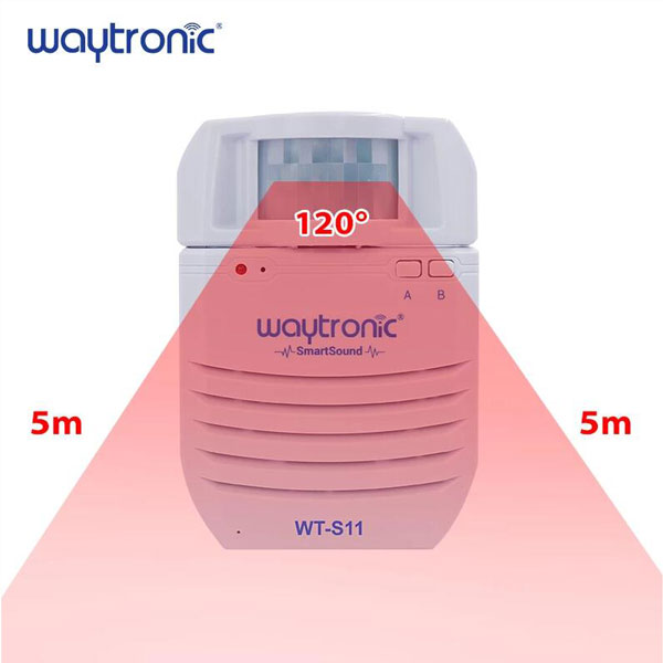 Two way recognition voice prompter