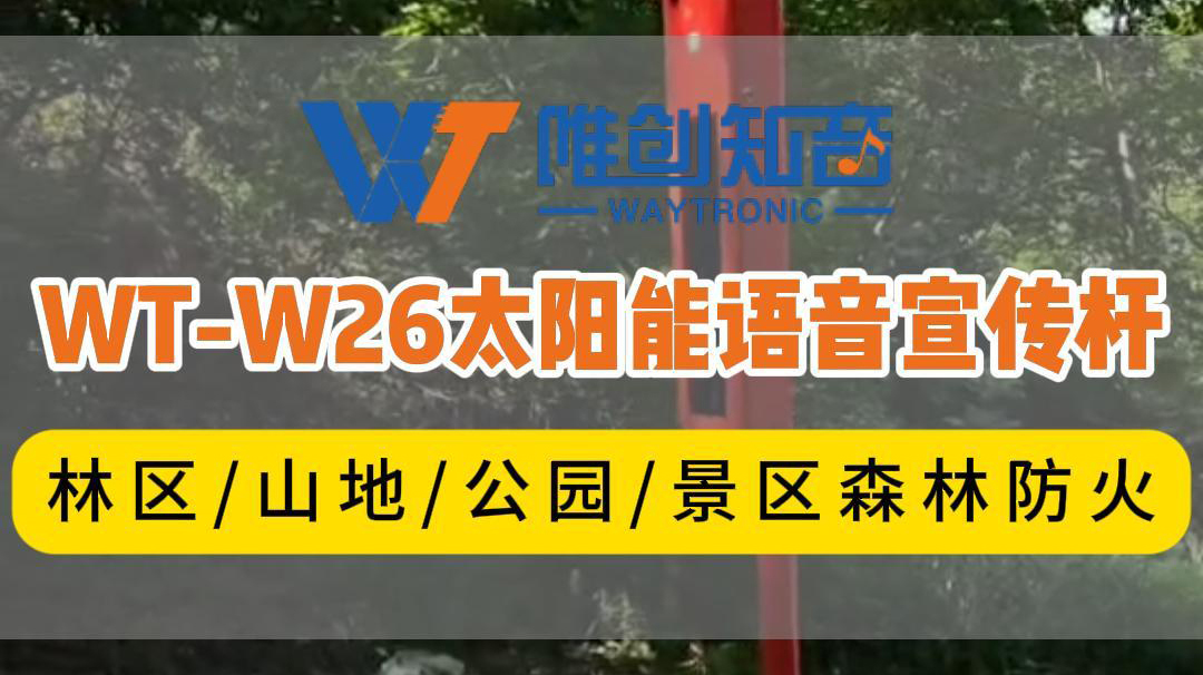 <b>WT-W26太陽能語音視頻監(jiān)控桿用在林區(qū)森林防火安</b>